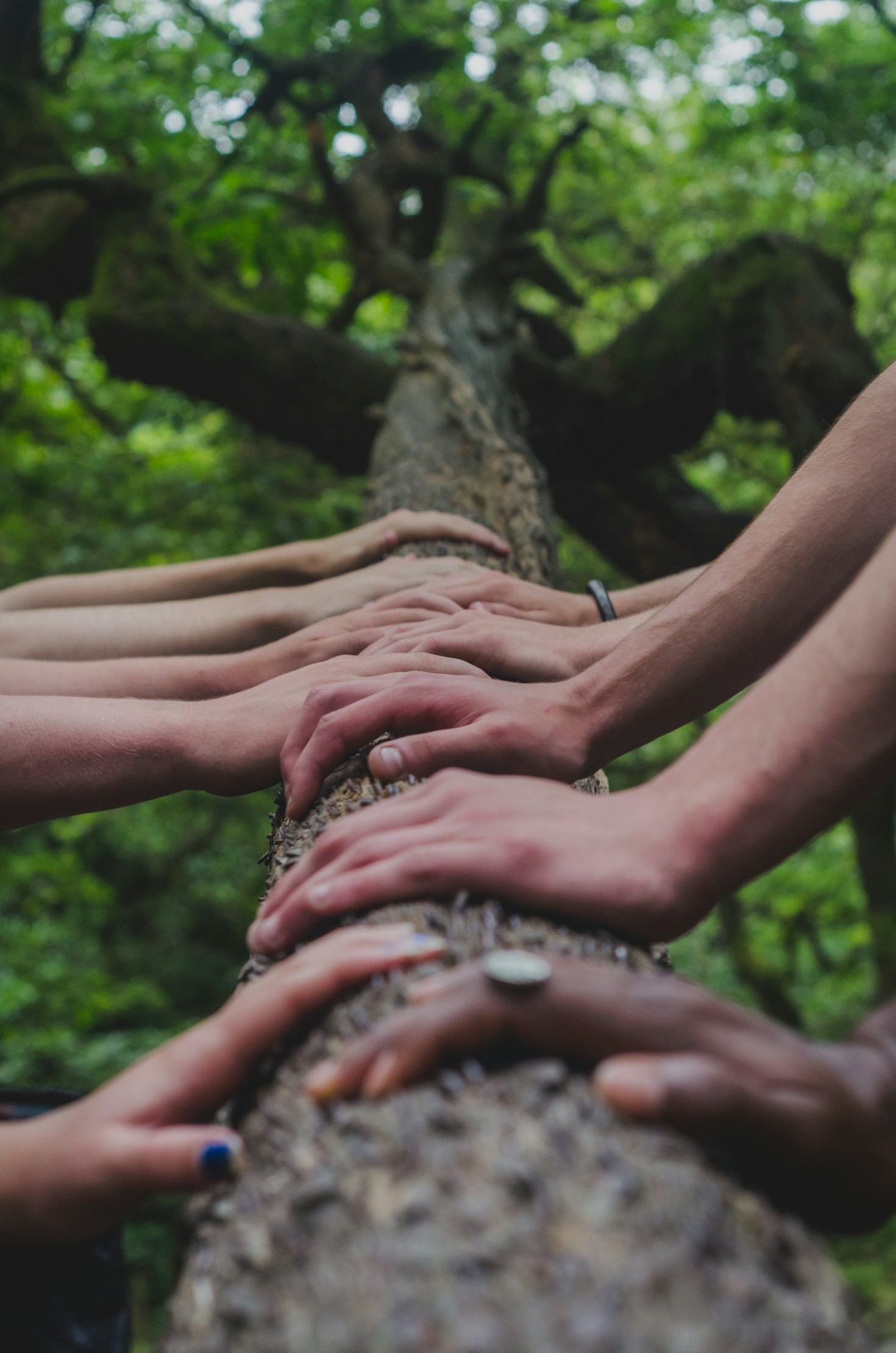 The Importance of Civic Engagement in Poverty Alleviation